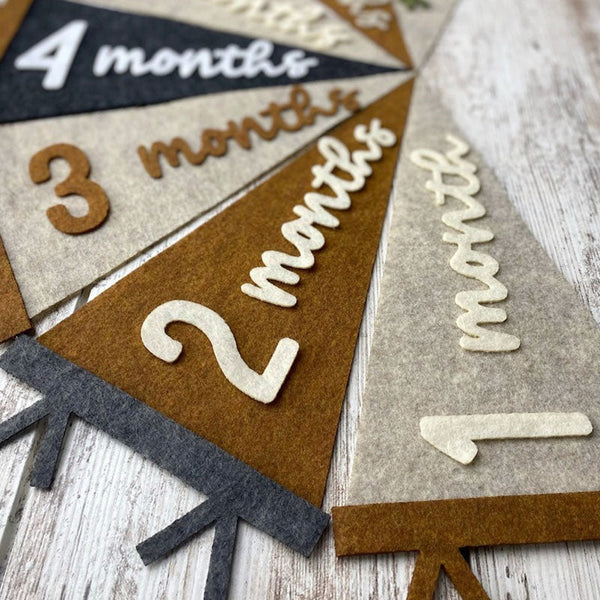 Baby Milestones Pennant, Newborn Photo Prop First Year