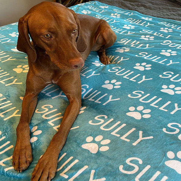 Pet Personalized Paw Print Name Blanket, Custom Dog Blanket, Plush Blanket, Pet Lover Gifts